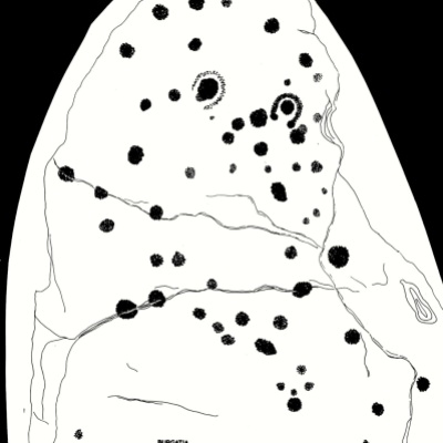 Rock Art on the Surface (Drawing by Finola Finlay)