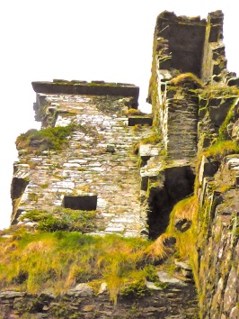 Ruins of Rossbrin, showing the stairway cavity and a large press