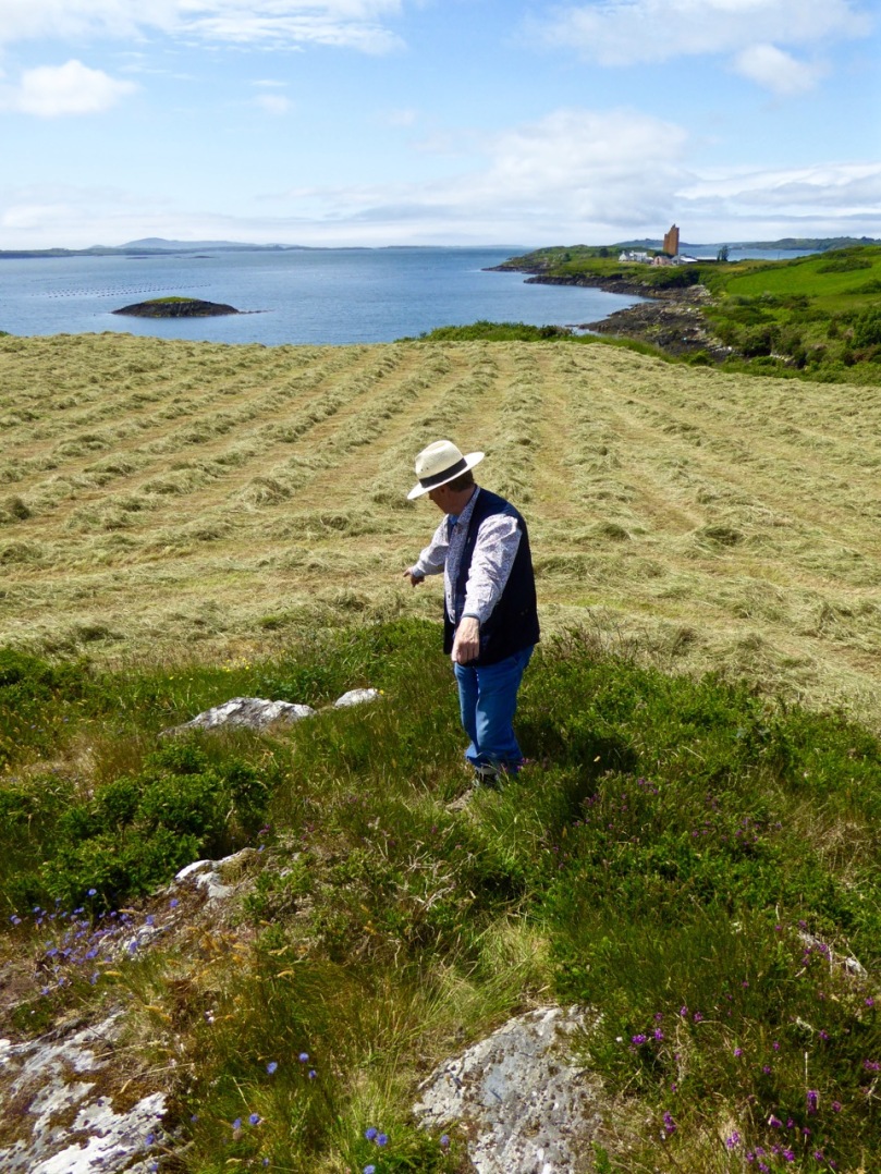 Robert points to two outcrops in Kilcoe. The lower one has one cupmark, the upper one has 13 cupmarks arranged in a rough circular patter. The sea and Mount Gabriel are visible from this location, as well as some rock art