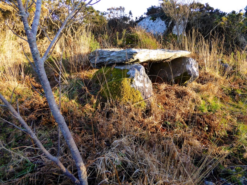 Kilbronogue Wedge tomb